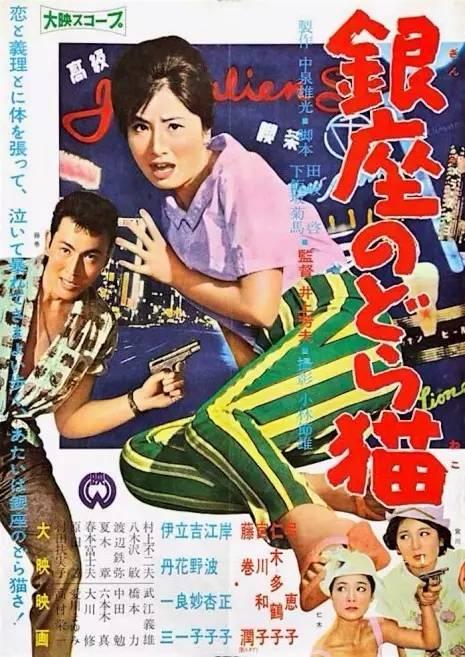坦帕大学理工科文凭证书